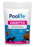 Poolife Alkalinity Plus