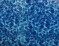 Caribbean Blue- 3000 SERIES- 15 MIL UD FULL PRINT LINER